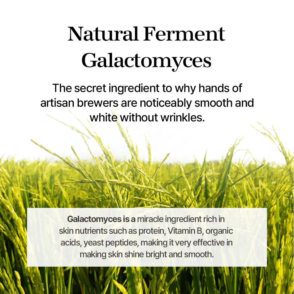 Galactomyces Ferment Essence