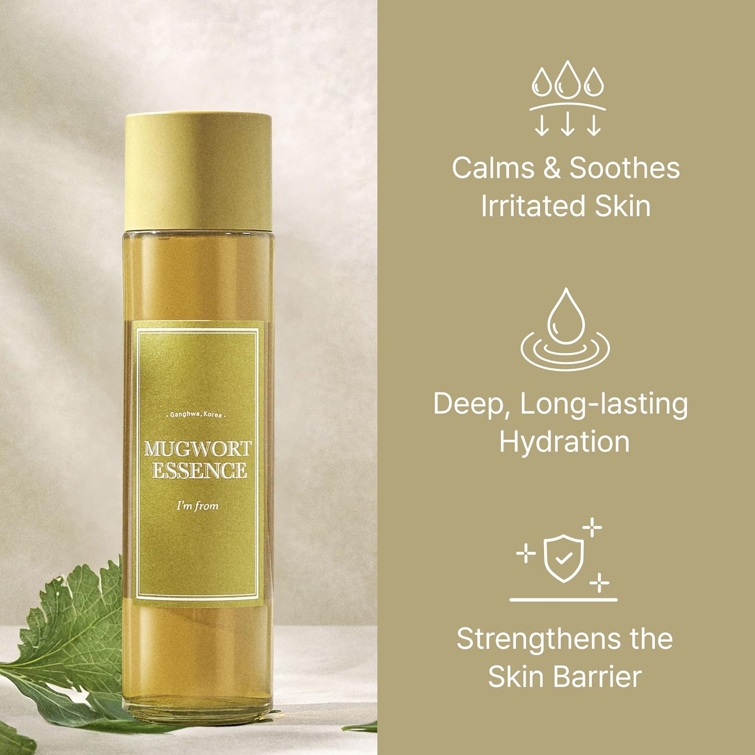 Mugwort Essence